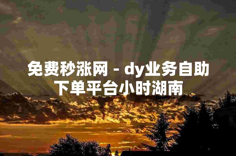 免费秒涨网 - dy业务自助下单平台小时湖南