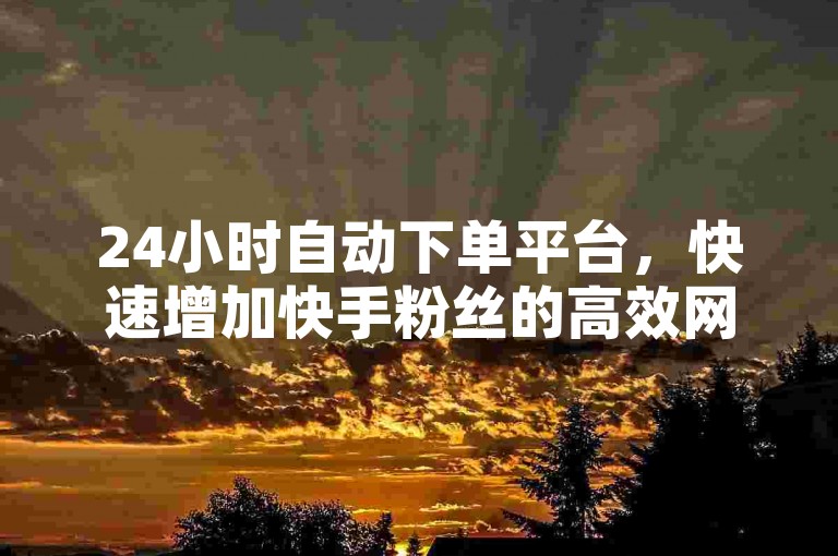 24小时自动下单平台，快速增加快手粉丝的高效网站。