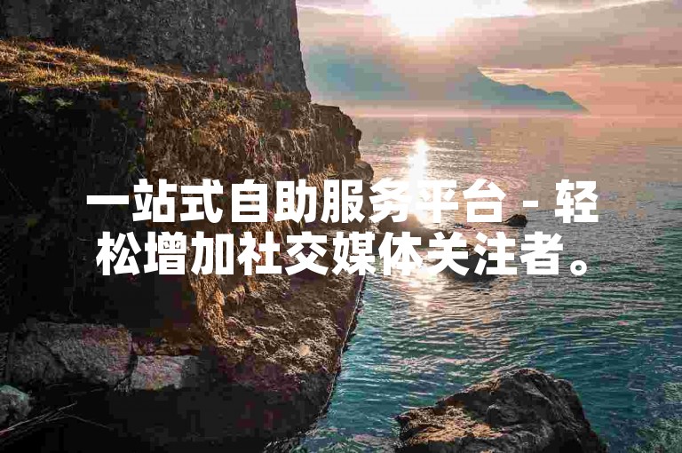 一站式自助服务平台 - 轻松增加社交媒体关注者。