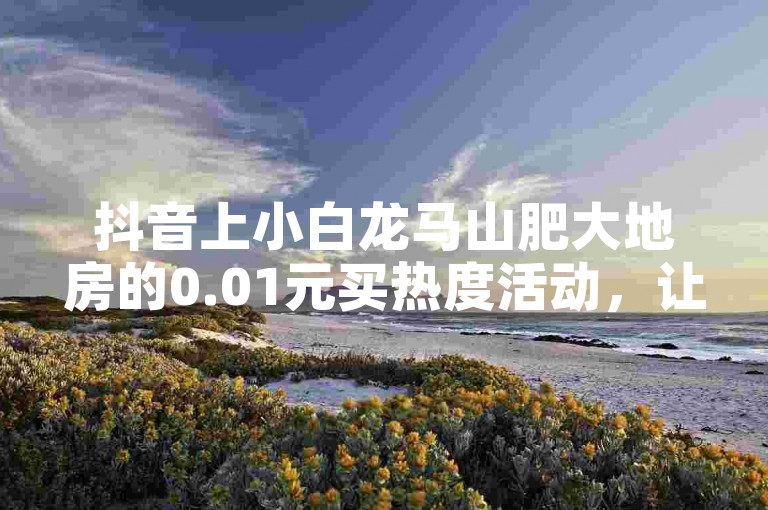 抖音上小白龙马山肥大地房的0.01元买热度活动，让你轻松了解最新购房优惠。