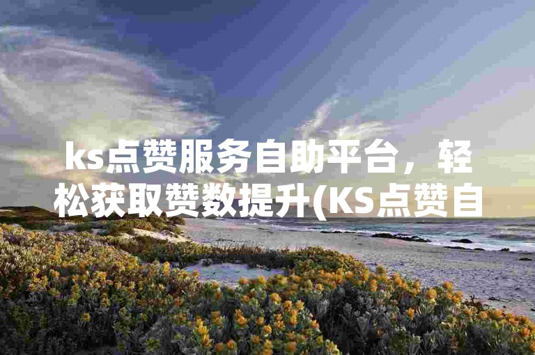 ks点赞服务自助平台，轻松获取赞数提升(KS点赞自助  -  KS点赞服务)。