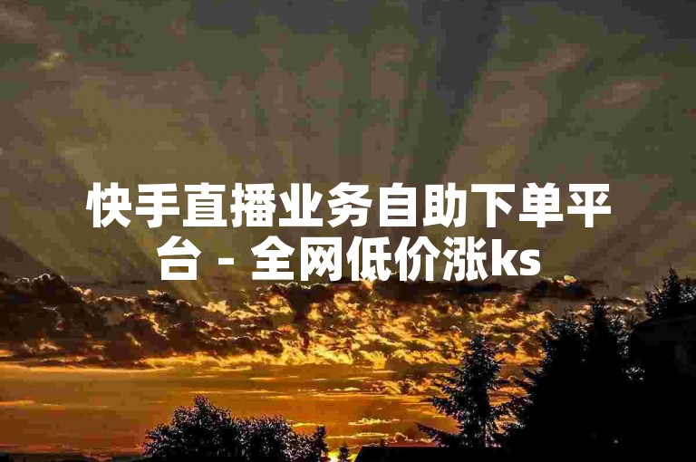 快手直播业务自助下单平台 - 全网低价涨ks