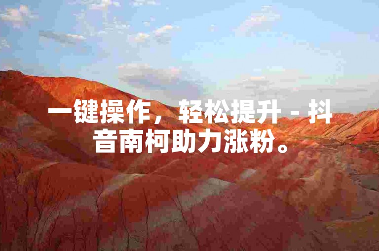 一键操作，轻松提升 - 抖音南柯助力涨粉。