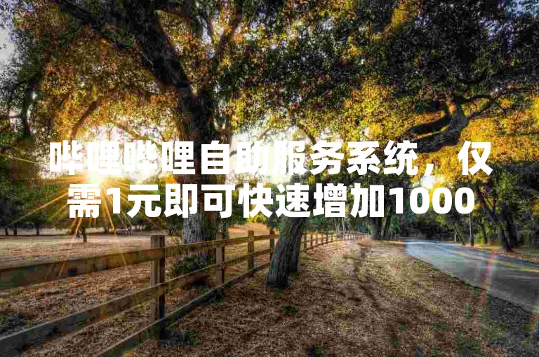 哔哩哔哩自助服务系统，仅需1元即可快速增加1000名粉丝。