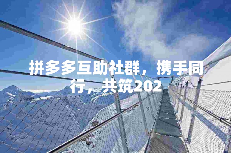 拼多多互助社群，携手同行，共筑2025全新互助生态。