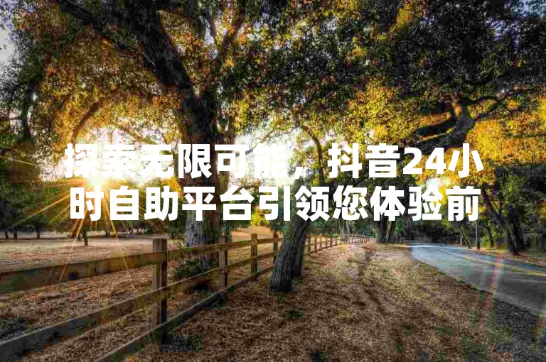 探索无限可能，抖音24小时自助平台引领您体验前所未有的便捷下单服务。
