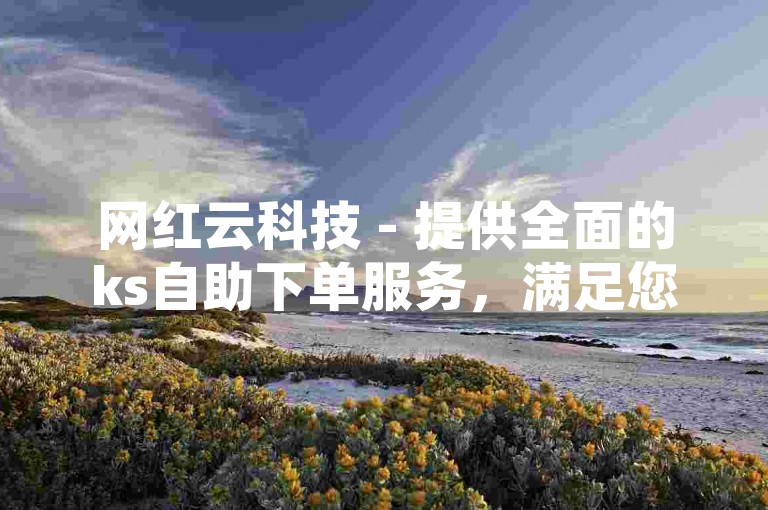 网红云科技 - 提供全面的ks自助下单服务，满足您的多样化需求。