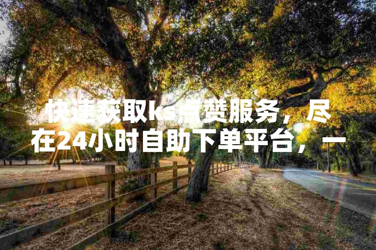 快速获取ks点赞服务，尽在24小时自助下单平台，一元即可获得1000赞，立即体验极速点赞的魅力。