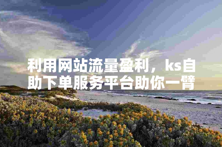 利用网站流量盈利，ks自助下单服务平台助你一臂之力。