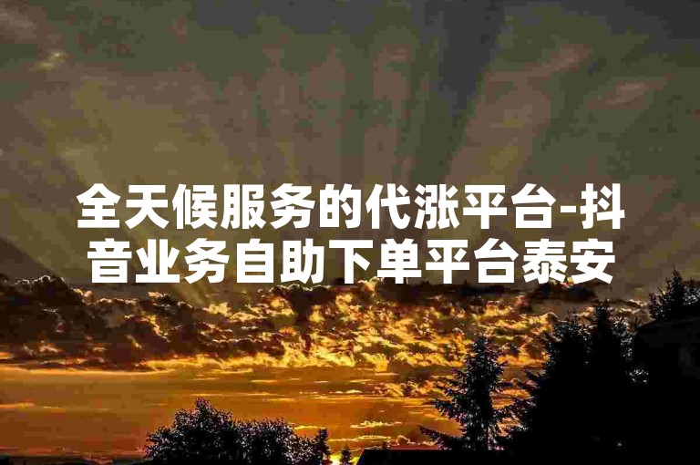 全天候服务的代涨平台-抖音业务自助下单平台泰安站，随时待命。