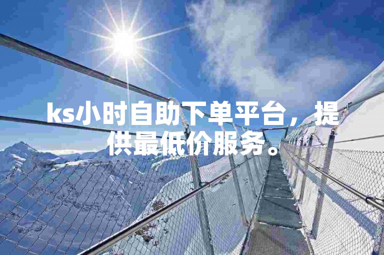ks小时自助下单平台，提供最低价服务。