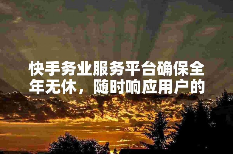 快手务业服务平台确保全年无休，随时响应用户的各种需求。