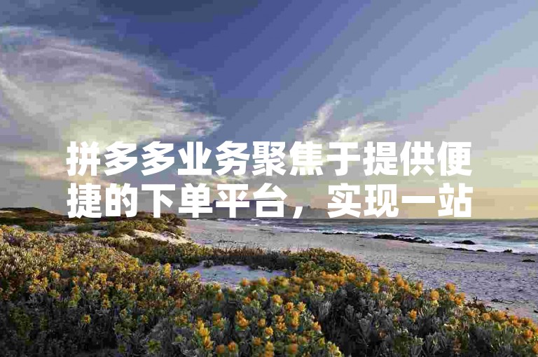 拼多多业务聚焦于提供便捷的下单平台，实现一站式购物的全新体验。