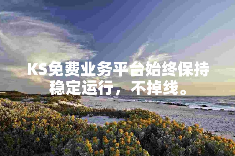 KS免费业务平台始终保持稳定运行，不掉线。