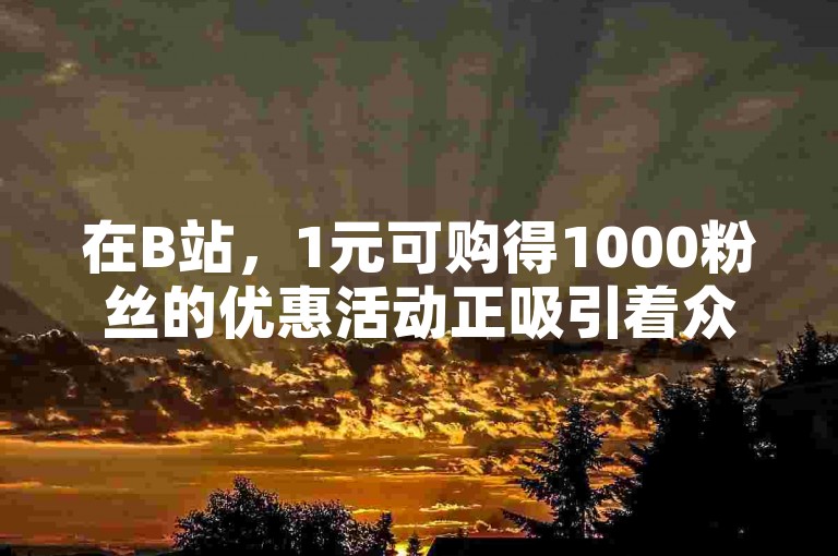 在B站，1元可购得1000粉丝的优惠活动正吸引着众多用户下单。