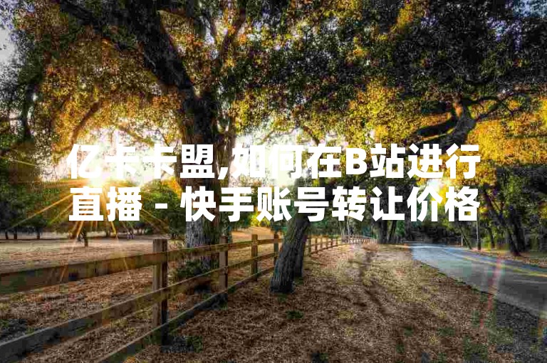 亿卡卡盟,如何在B站进行直播 - 快手账号转让价格查询 - 发卡网的自动发卡服务。