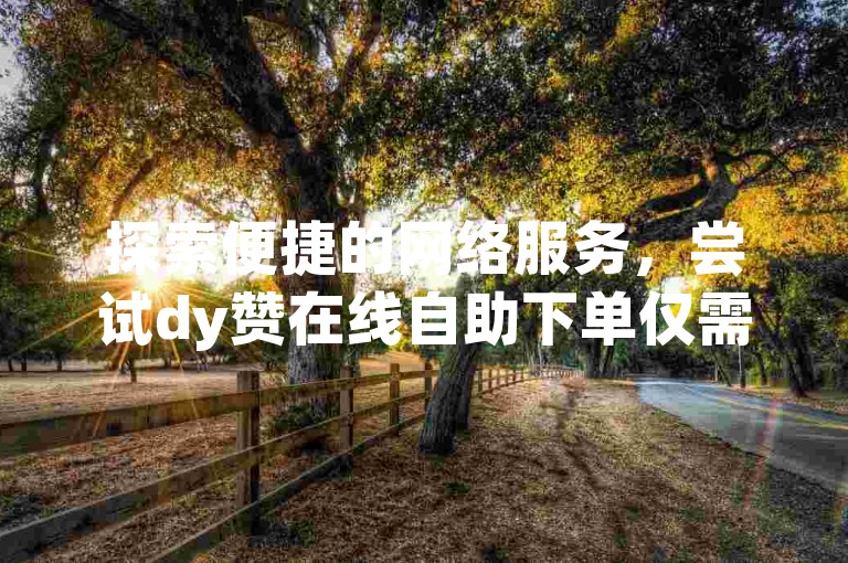 探索便捷的网络服务，尝试dy赞在线自助下单仅需0.5元 - 体验dy流量免费自助下单平台的高效服务。