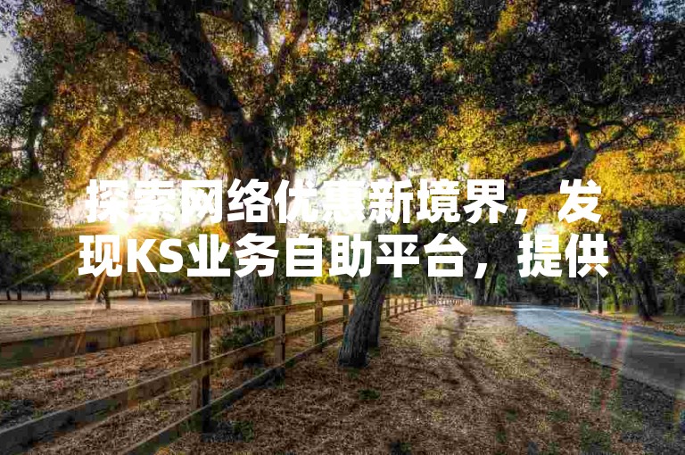 探索网络优惠新境界，发现KS业务自助平台，提供超值低价服务，轻松获取点赞与支持。
