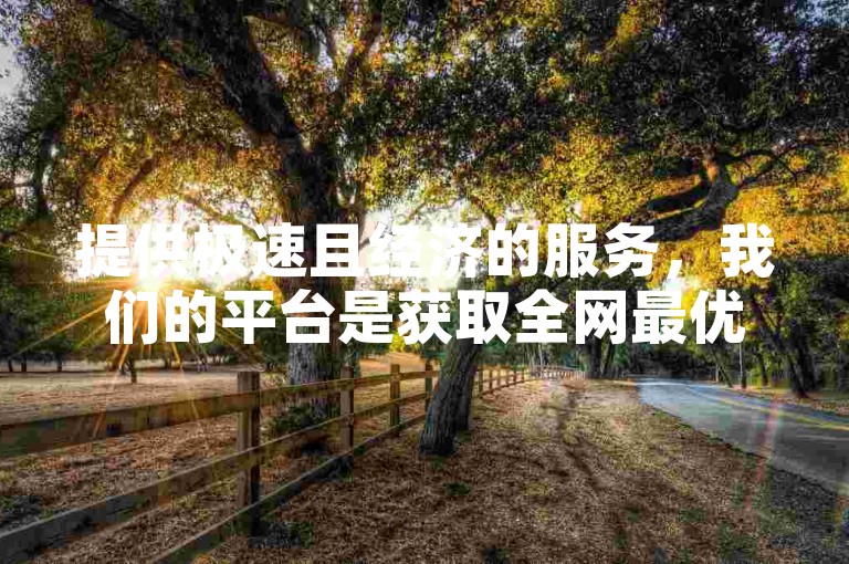 提供极速且经济的服务，我们的平台是获取全网最优惠业务的不二之选。