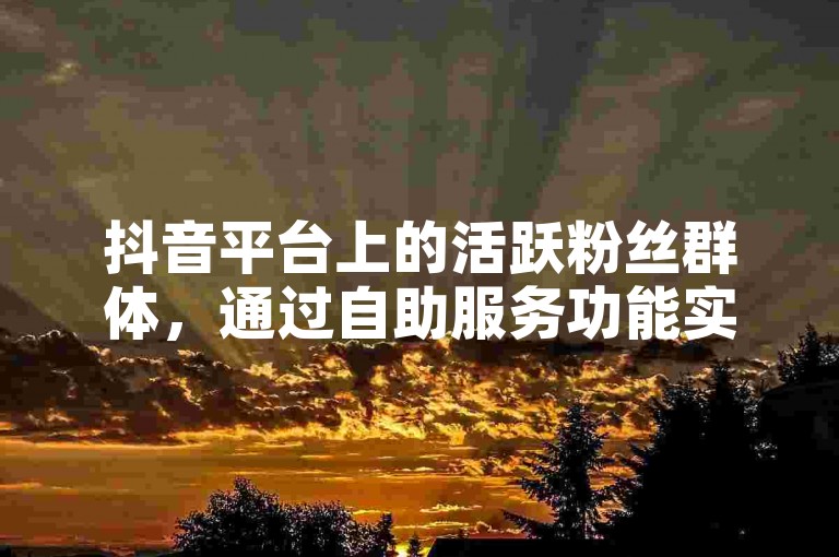 抖音平台上的活跃粉丝群体，通过自助服务功能实现了更便捷的互动与管理。