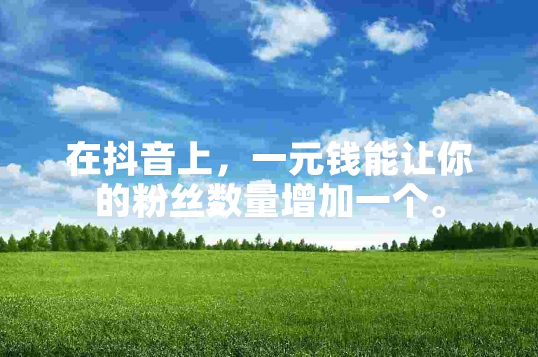 在抖音上，一元钱能让你的粉丝数量增加一个。