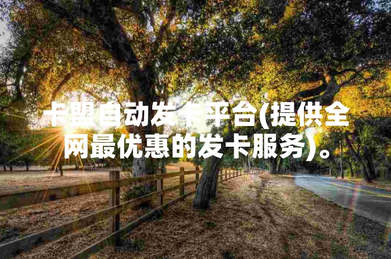 卡盟自动发卡平台(提供全网最优惠的发卡服务)。