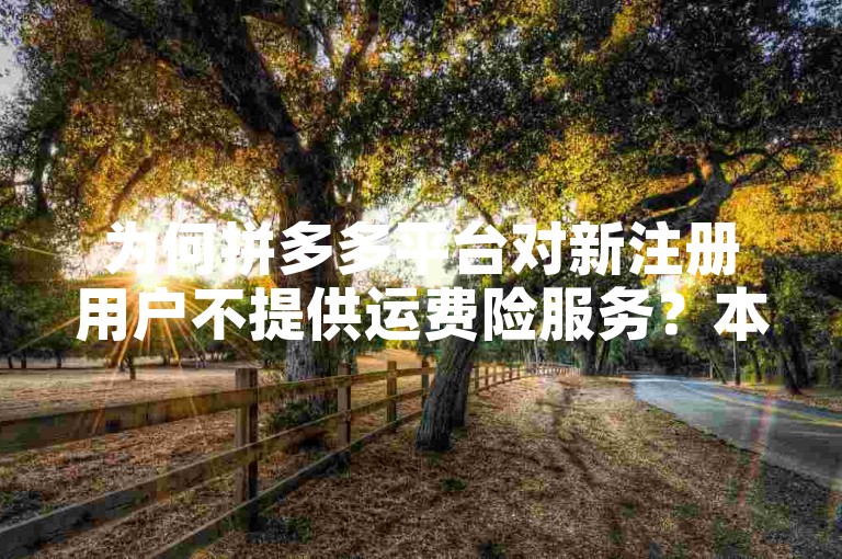 为何拼多多平台对新注册用户不提供运费险服务？本文将深入探讨这一现象的内在逻辑。