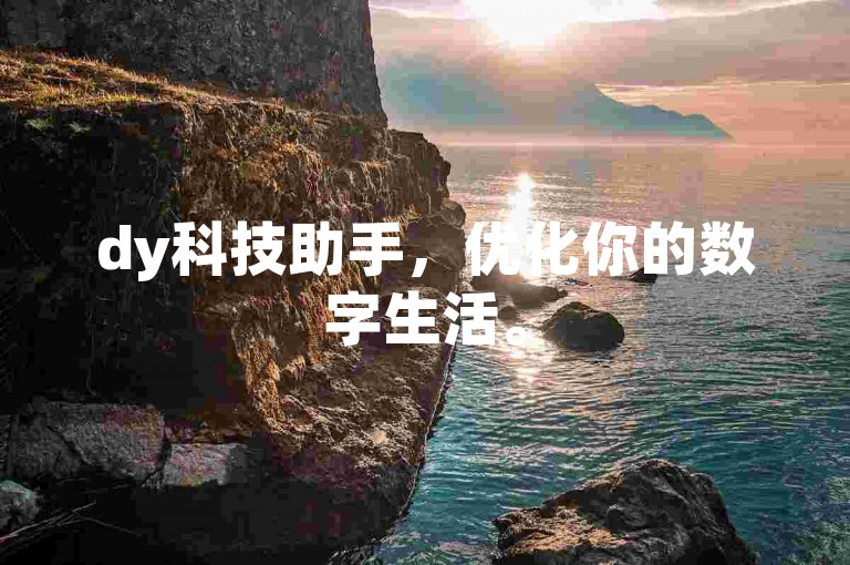 dy科技助手，优化你的数字生活。