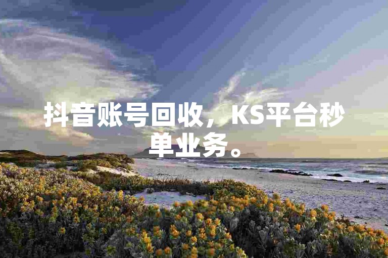 抖音账号回收，KS平台秒单业务。