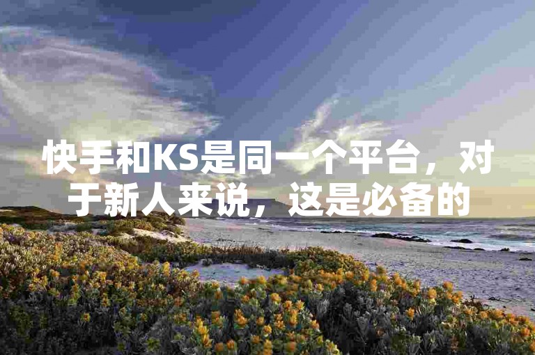 快手和KS是同一个平台，对于新人来说，这是必备的知识！