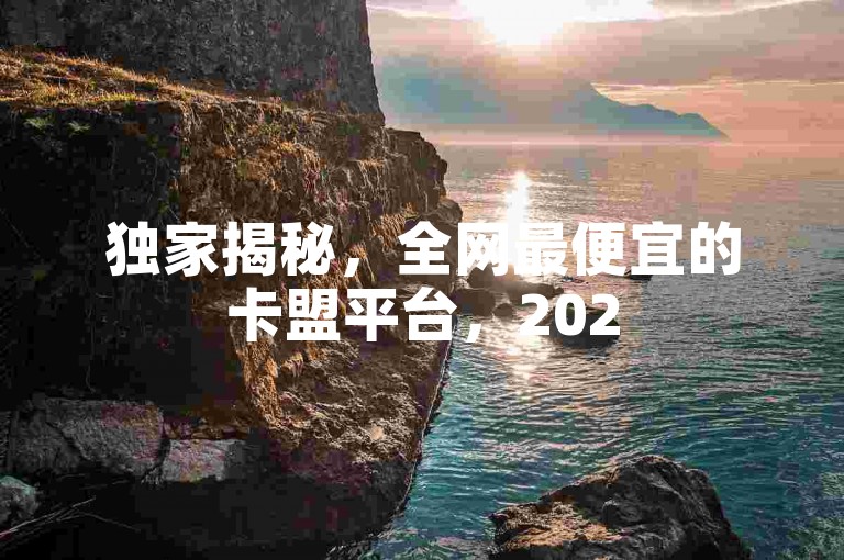 独家揭秘，全网最便宜的卡盟平台，2025年必学的经济实惠之选！