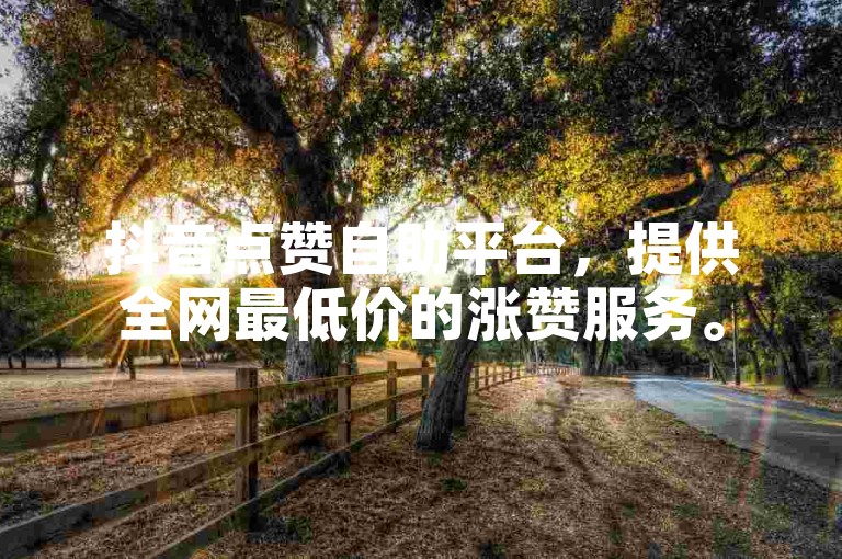 抖音点赞自助平台，提供全网最低价的涨赞服务。