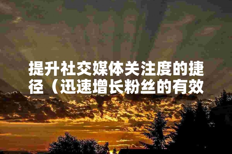 提升社交媒体关注度的捷径（迅速增长粉丝的有效手段）。