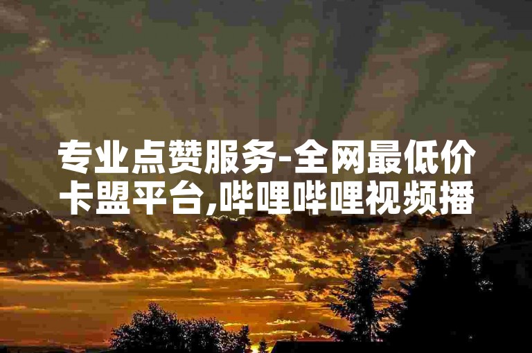 专业点赞服务-全网最低价卡盟平台,哔哩哔哩视频播放量提升服务。