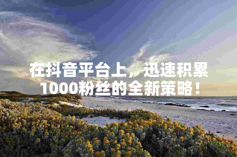 在抖音平台上，迅速积累1000粉丝的全新策略！