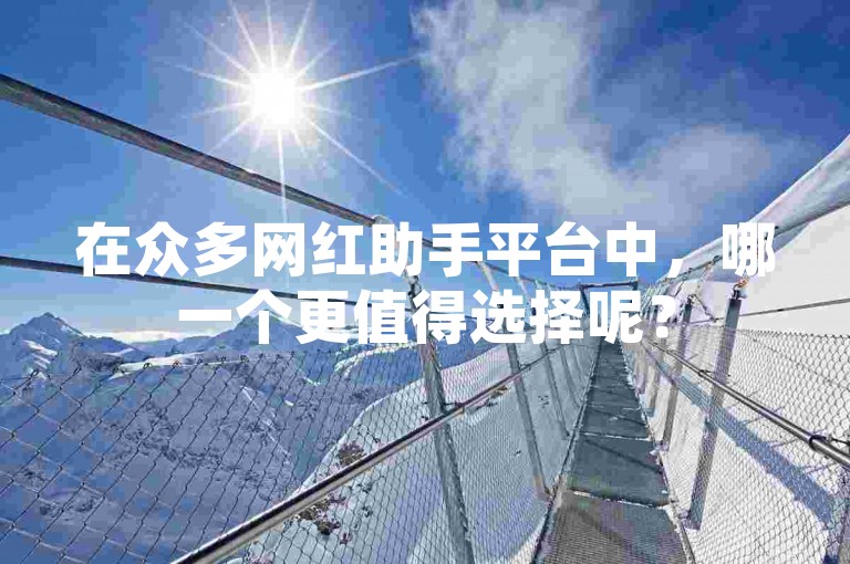 在众多网红助手平台中，哪一个更值得选择呢？