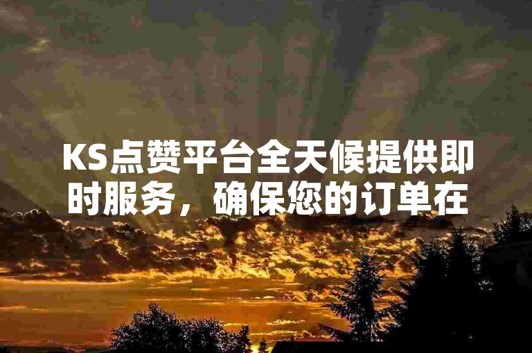 KS点赞平台全天候提供即时服务，确保您的订单在24小时内快速完成并到账。