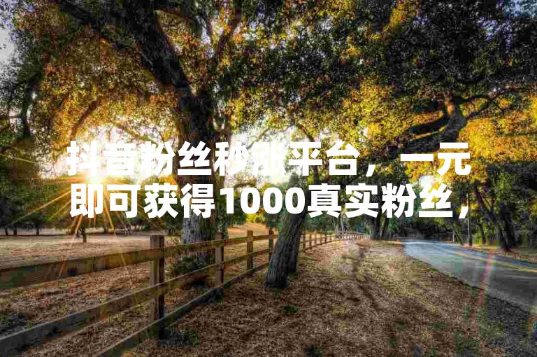 抖音粉丝秒涨平台，一元即可获得1000真实粉丝，快来体验吧！