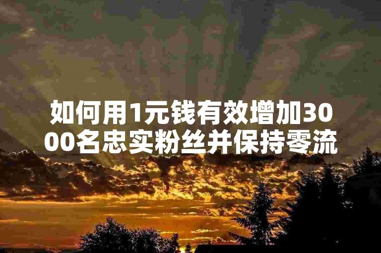 如何用1元钱有效增加3000名忠实粉丝并保持零流失？