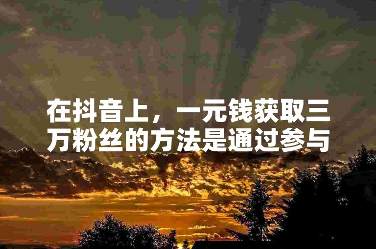 在抖音上，一元钱获取三万粉丝的方法是通过参与官方活动或使用特定的推广服务来实现的。