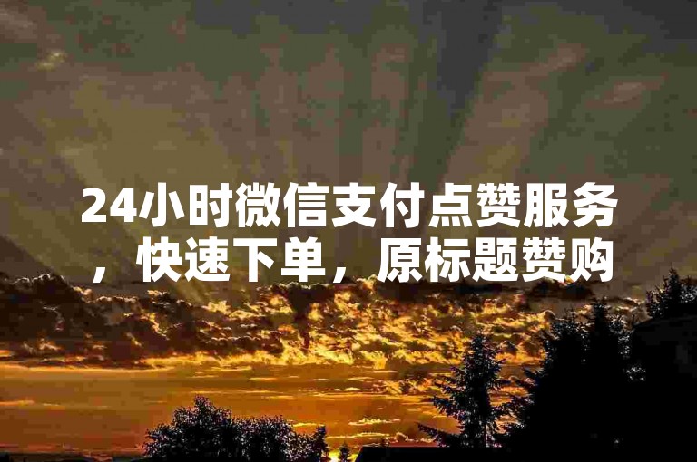 24小时微信支付点赞服务，快速下单，原标题赞购。