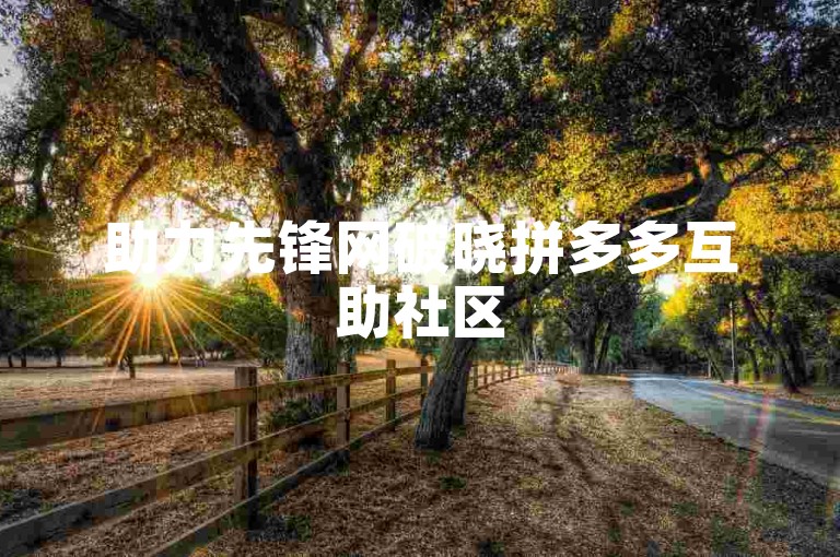 助力先锋网破晓拼多多互助社区