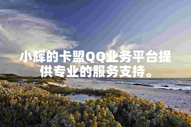 小辉的卡盟QQ业务平台提供专业的服务支持。