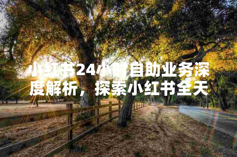 小红书24小时自助业务深度解析，探索小红书全天候自助服务的全新模式！2025必备知识