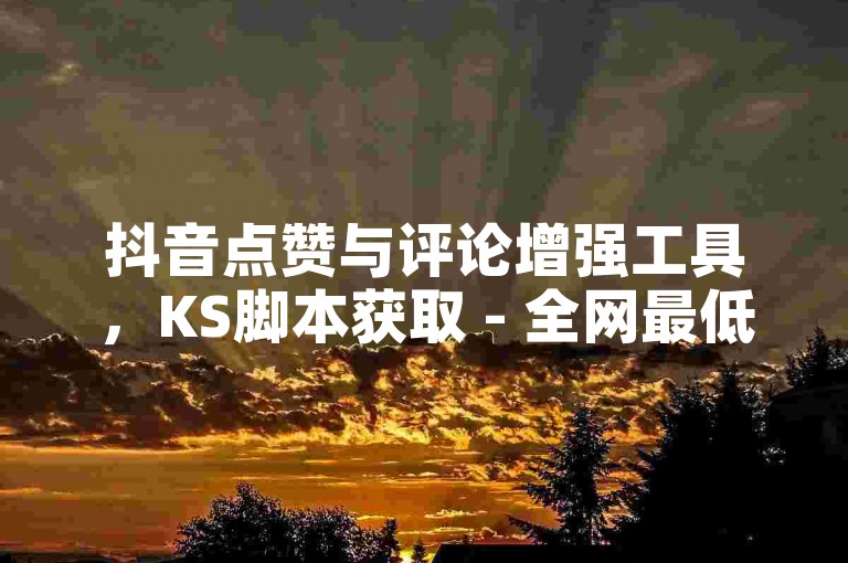抖音点赞与评论增强工具，KS脚本获取 - 全网最低价的抖音服务 - 最实惠的抖音刷钻平台，微利也能赚大钱！