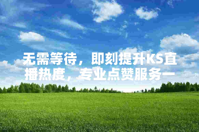 无需等待，即刻提升KS直播热度，专业点赞服务一键搞定。