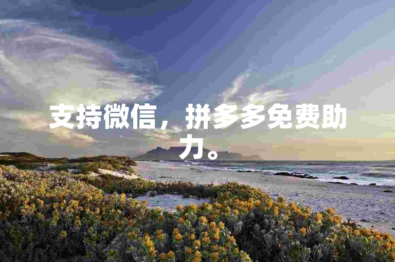 支持微信，拼多多免费助力。