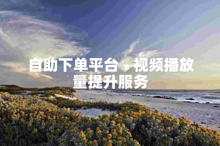 自助下单平台 - 视频播放量提升服务