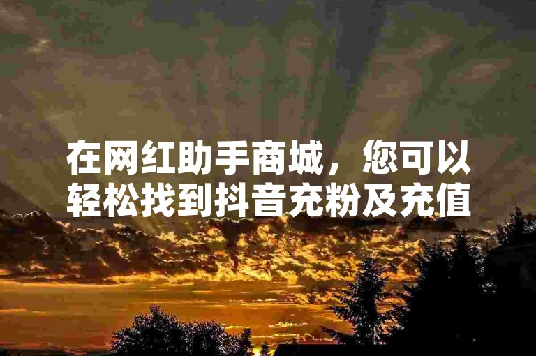 在网红助手商城，您可以轻松找到抖音充粉及充值的自助服务入口。