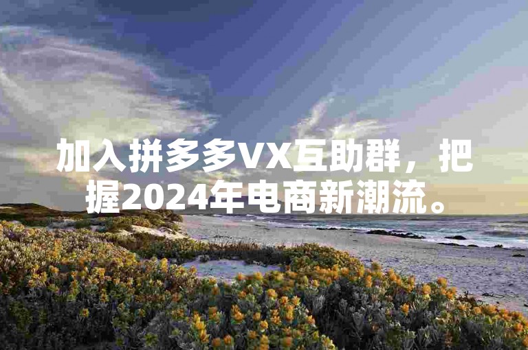 加入拼多多VX互助群，把握2024年电商新潮流。
